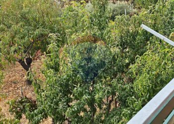 Giardino - Villa Via Minicuccazzo
 
7, Mascali - foto 65