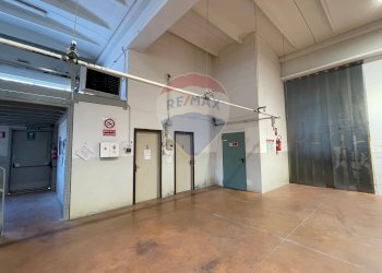 Ricezione / Lobby - Capannone Arcevia - foto 3