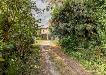 Giardino - Rustico Via Favalli
 
44, Fossò - foto 4