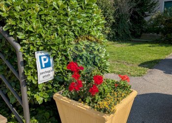 Giardino - Locale Commerciale Pian Camuno - foto 6