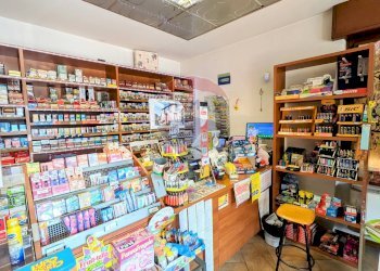 Dispensa di stoccaggio - Locale Commerciale Pian Camuno - foto 19