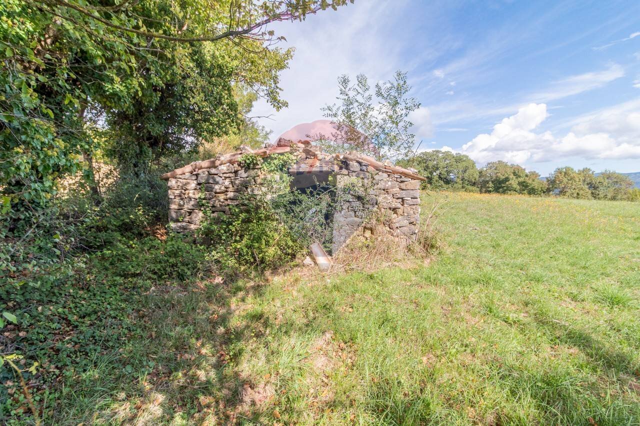 Giardino - Terreno agricolo scalabrelli
 
0, Semproniano - foto 3