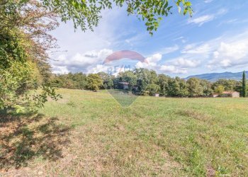 Giardino - Terreno agricolo scalabrelli
 
0, Semproniano - foto 1