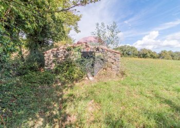 Giardino - Terreno agricolo scalabrelli
 
0, Semproniano - foto 3