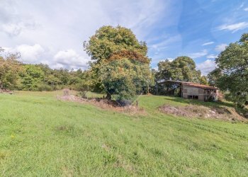 Giardino - Terreno agricolo scalabrelli
 
0, Semproniano - foto 5