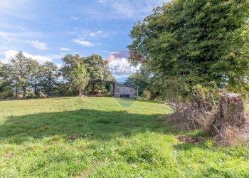 Giardino - Terreno agricolo scalabrelli
 
0, Semproniano - foto 6