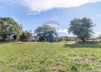 Giardino - Terreno agricolo scalabrelli
 
0, Semproniano - foto 7