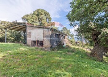 Casa all\'aperto - Terreno agricolo scalabrelli
 
0, Semproniano - foto 8