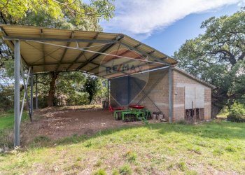 Giardino - Terreno agricolo scalabrelli
 
0, Semproniano - foto 9