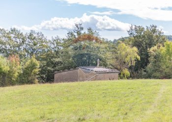 Giardino - Terreno agricolo scalabrelli
 
0, Semproniano - foto 11