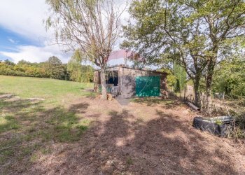 Giardino - Terreno agricolo scalabrelli
 
0, Semproniano - foto 12