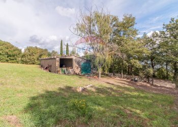 Giardino - Terreno agricolo scalabrelli
 
0, Semproniano - foto 13