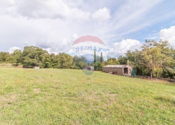 Giardino - Terreno agricolo scalabrelli
 
0, Semproniano - foto 17