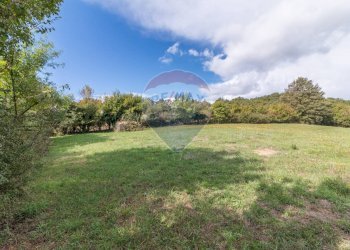 Giardino - Terreno agricolo scalabrelli
 
0, Semproniano - foto 18