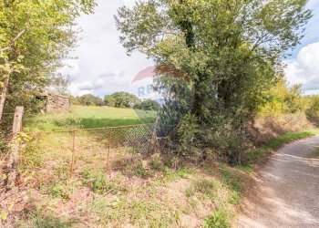 Giardino - Terreno agricolo scalabrelli
 
0, Semproniano - foto 19