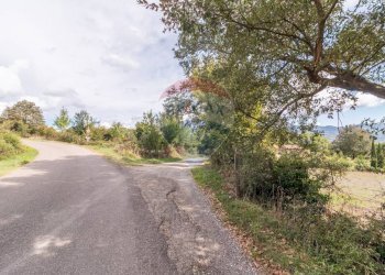 Non correlato - Terreno agricolo scalabrelli
 
0, Semproniano - foto 20