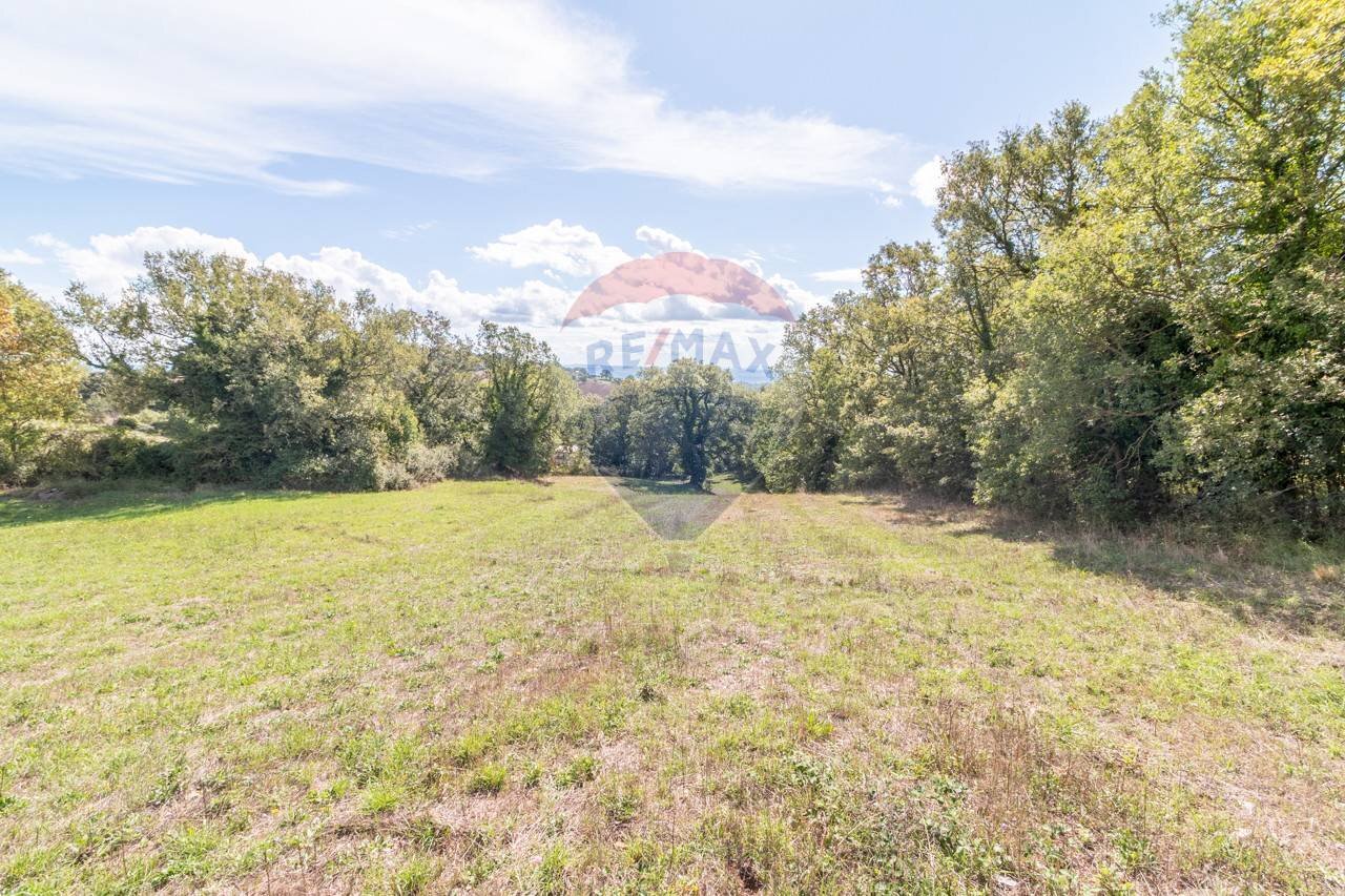 Giardino - Terreno agricolo Semproniano - foto 1