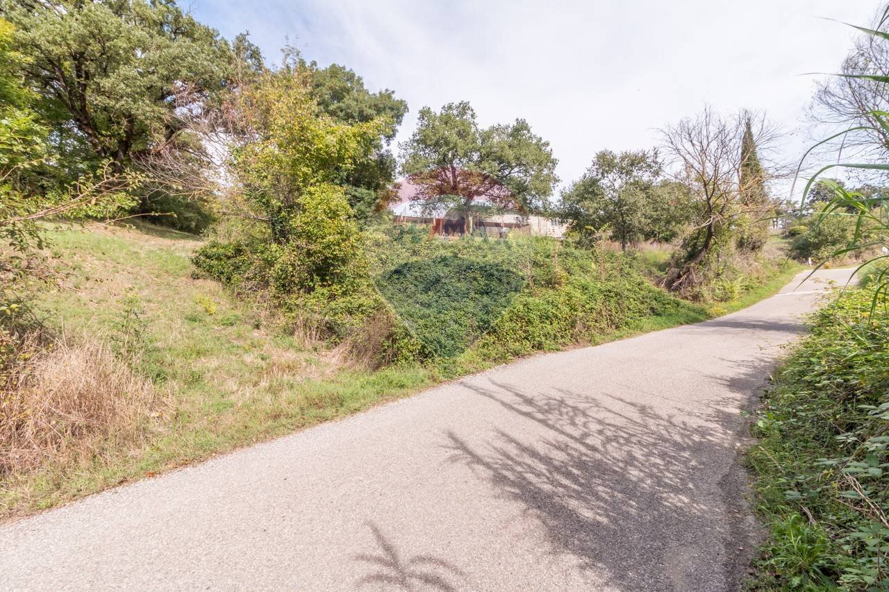 Giardino - Terreno agricolo Semproniano - foto 2