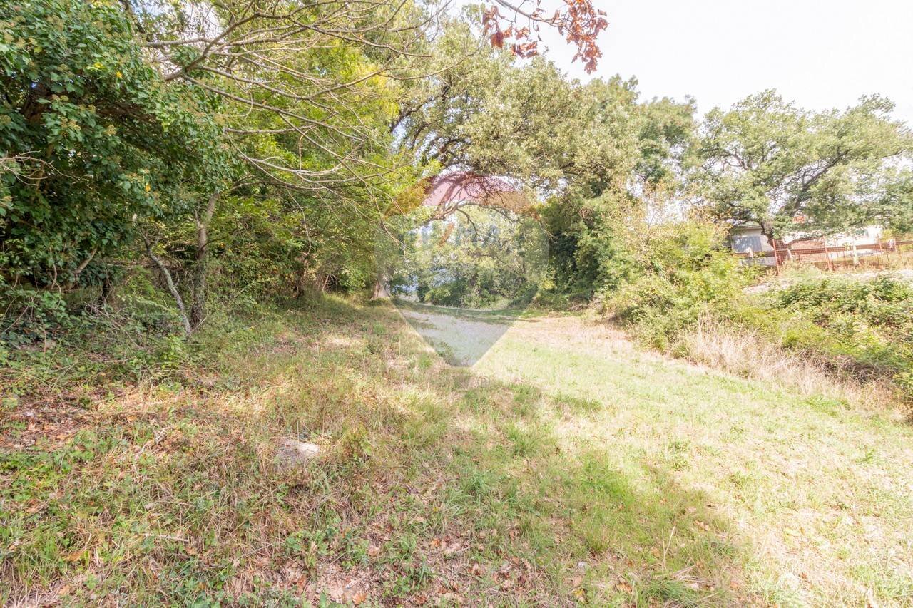 Giardino - Terreno agricolo Semproniano - foto 3