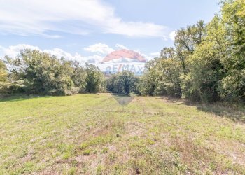 Giardino - Terreno agricolo Semproniano - foto 1