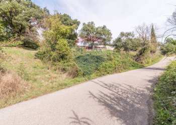 Giardino - Terreno agricolo Semproniano - foto 2