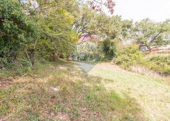 Giardino - Terreno agricolo Semproniano - foto 3