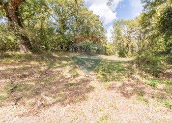 Giardino - Terreno agricolo Semproniano - foto 4