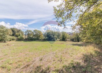 Giardino - Terreno agricolo Semproniano - foto 7