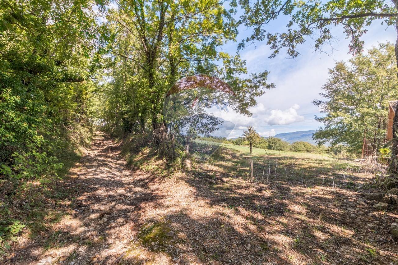 Giardino - Terreno agricolo Semproniano - foto 2