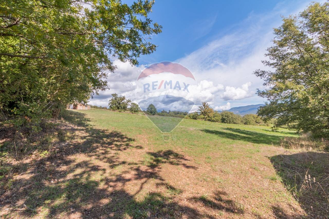 Giardino - Terreno agricolo Semproniano - foto 3