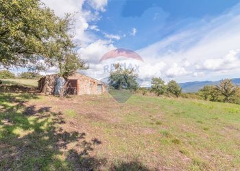 Casa all\'aperto - Terreno agricolo Semproniano - foto 1