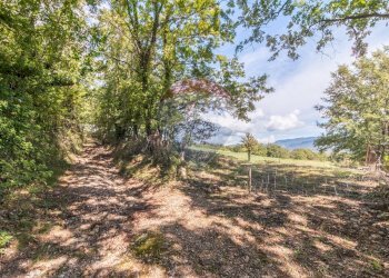 Giardino - Terreno agricolo Semproniano - foto 2