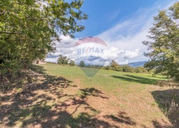 Giardino - Terreno agricolo Semproniano - foto 3