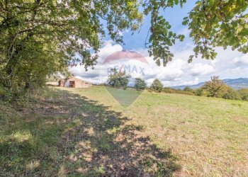 Giardino - Terreno agricolo Semproniano - foto 4