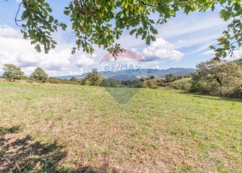 Vista delle montagne - Terreno agricolo Semproniano - foto 5