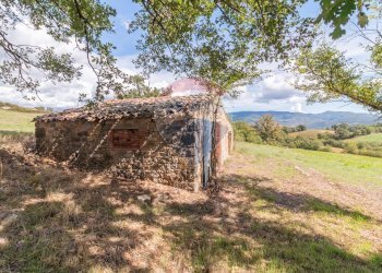 Casa all\'aperto - Terreno agricolo Semproniano - foto 6