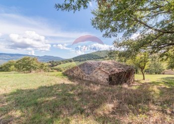 Vista delle montagne - Terreno agricolo Semproniano - foto 7