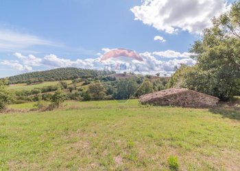 Vista delle montagne - Terreno agricolo Semproniano - foto 8