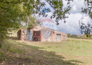 Casa all\'aperto - Terreno agricolo Semproniano - foto 12