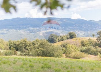Vista delle montagne - Terreno agricolo Semproniano - foto 13