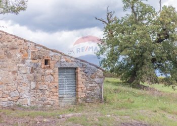 Casa all\'aperto - Terreno agricolo Semproniano - foto 15