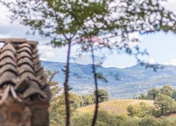 Vista delle montagne - Terreno agricolo Semproniano - foto 16