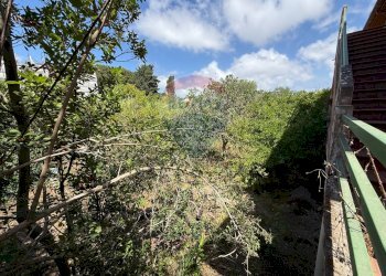 Giardino - Appartamento Via Sabaudia
 
114, San Felice Circeo - foto 3