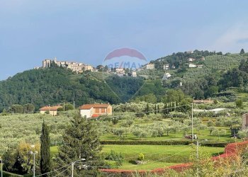 Vista delle montagne - Villa Capannori - foto 68