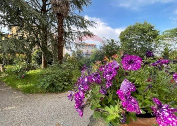 Giardino - Villa Capannori - foto 71