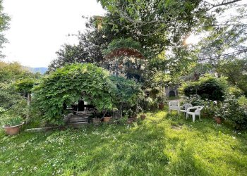 Giardino - Villa Capannori - foto 77