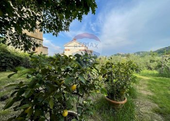 Giardino - Villa Capannori - foto 78