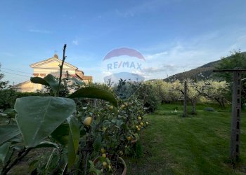 Giardino - Villa Capannori - foto 85