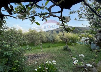 Giardino - Villa Capannori - foto 86