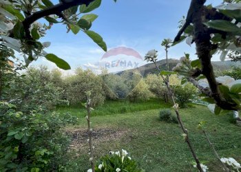 Giardino - Villa Capannori - foto 87